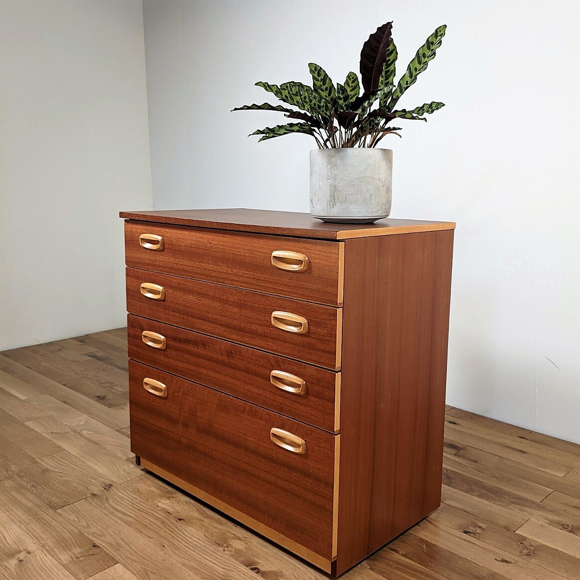 1960s Schreiber Chest of Drawers in Contrast Teak and Beech Etsy