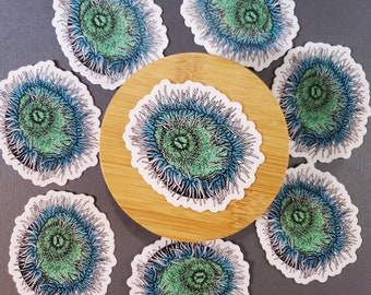 Vinyl Green Sea Anemone Sticker