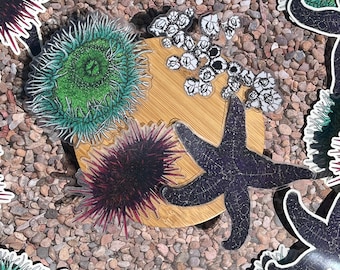 Clear Tidepool Sticker Pack: Sea Anemone, Sea Urchin, Starfish, Barnacles
