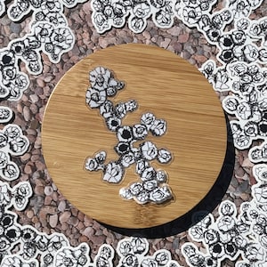 CLEAR Vinyl Acorn Barnacles Sticker