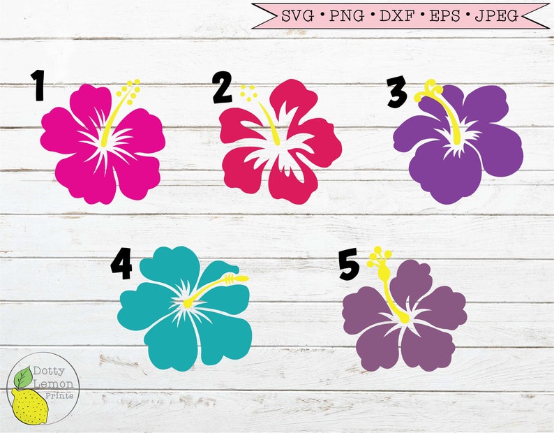 Download Summer svg Beach svg Hawaiian svg Hibiscus Flower Bundle ...