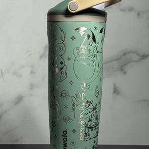 May include: A mint green Owala water bottle with a flip-top lid and a handle. The bottle is decorated with silver illustrations of characters from a popular animated film. The word "owala" is printed on the side.