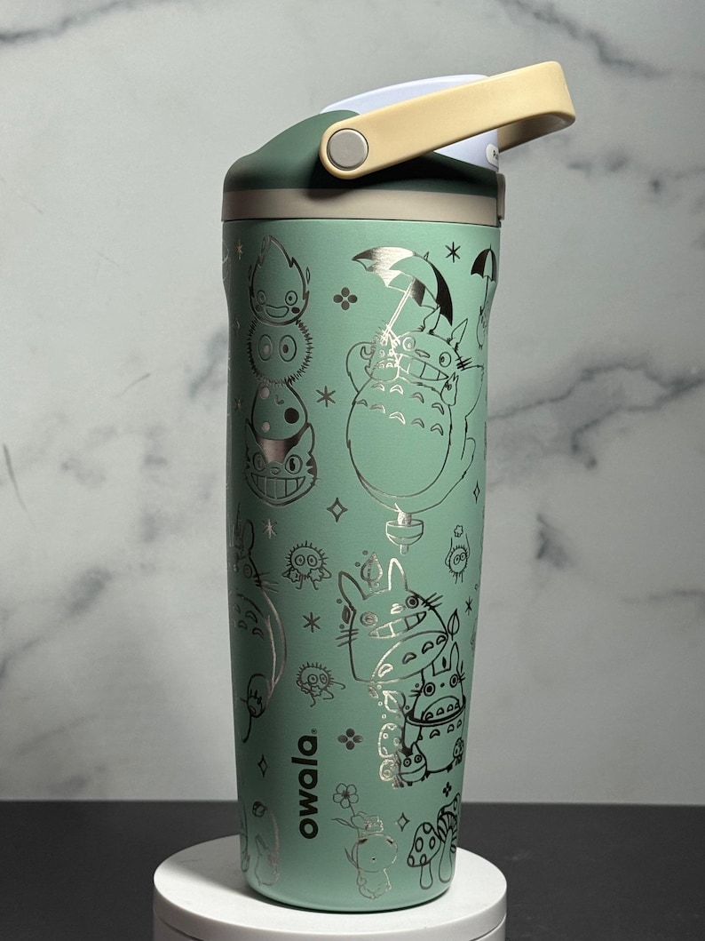 May include: A mint green Owala water bottle with a flip-top lid and a handle. The bottle is decorated with silver illustrations of characters from a popular animated film. The word "owala" is printed on the side.