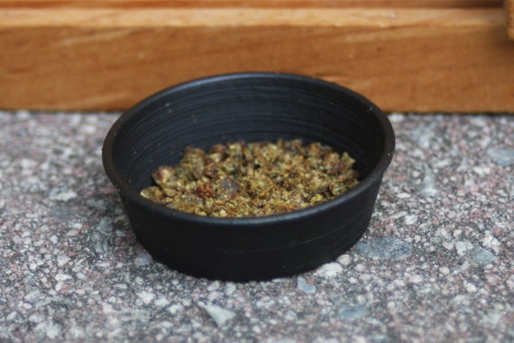 Horse Feed Pan: Ultimate Guide to Choosing the Best One