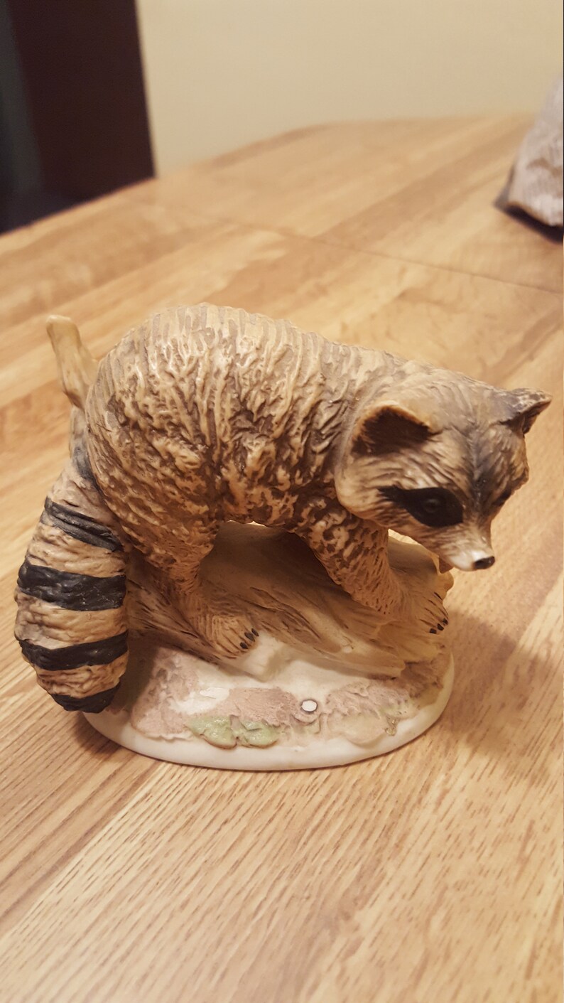 Racoon on a log 1423 Home Interiors