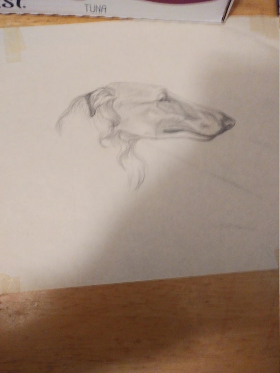 Pen, pencil and ink drawings and sketches by Artist Candy Brunelle Circa. 1980s and 1990s all original Art of dogs by the Artist.