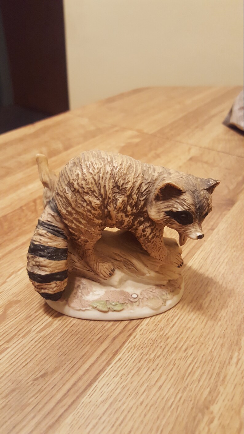 Racoon on a log 1423 Home Interiors