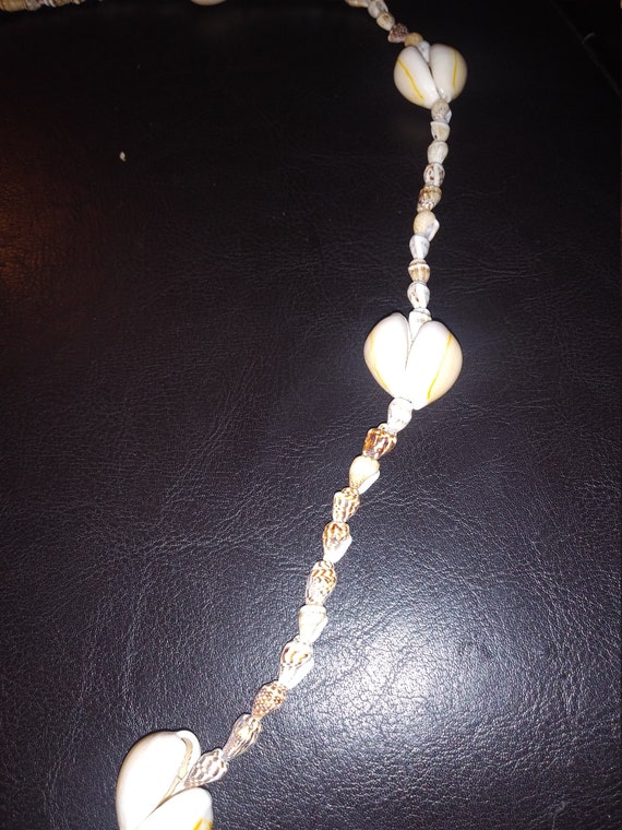 Conk shell necklace Circa. 1960s - image 4