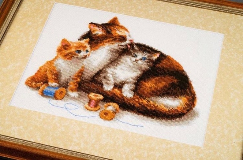 Kit Point De Croix - Chats Gris Sur Toile 14 Fils/pouce - Loisir Créatif Neuf