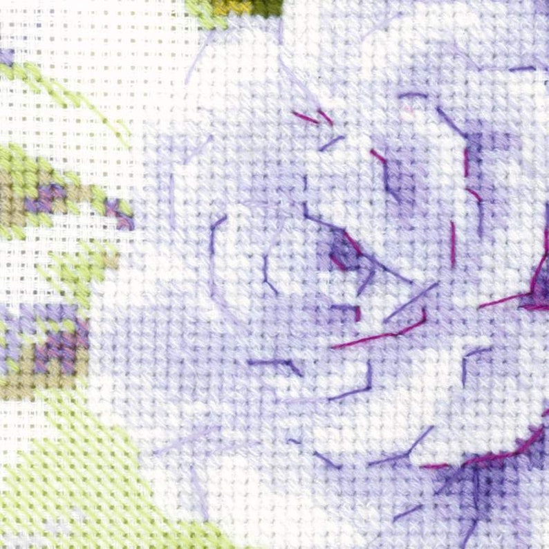 Cross Stitch Kit by Riolis 1712 Sweet Figs