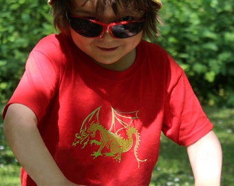 May include: A young child wearing a red t-shirt with a green dragon graphic, sunglasses, and a yellow and green patterned hat.