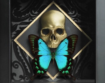 Sea green swallowtail butterfly with Skull