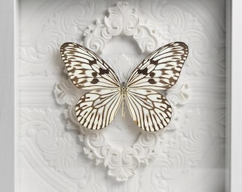 Deluxe framed idea idea novella butterfly