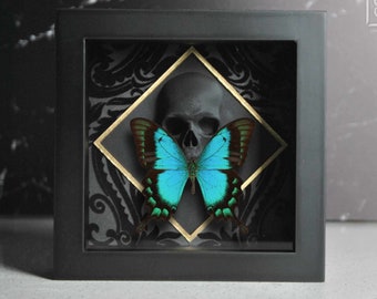 Sea green swallowtail butterfly with Skull