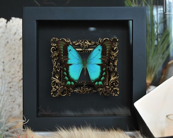 Sea green swallowtail butterfly deluxe