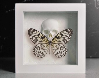 Schmetterling aus Reispapier mit goldenem Totenkopfrahmen, präpariertes Tiermotiv, gotische Wandkunst, Dark-Academia-Dekoration, kurioses Geschenk für sie