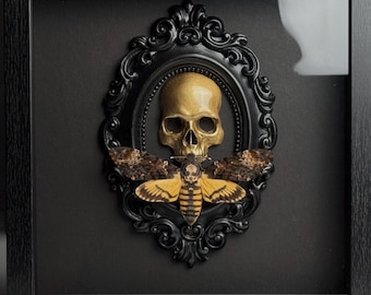 Gerahmte Totenkopf-Präparation mit Totenkopfschmetterling, hochwertige gotische Wandkunst, Dark-Academia-Dekoration, Geschenk für Sammler von Kuriositäten