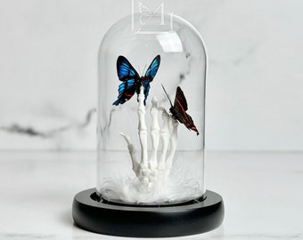 Dancing butterflies on skeleton hand in Glass dome