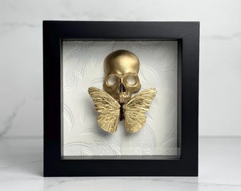 Gold leaf real monarch butterfly with skull