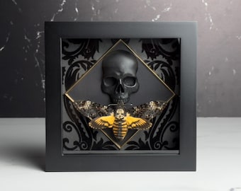 Framed Death's Head Moth on Skull