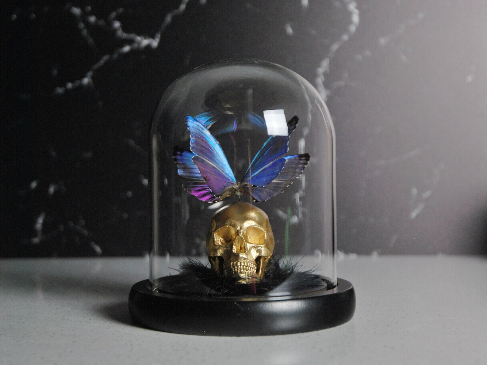 Image of Halloween Skull & Butterfly Glass Cloche