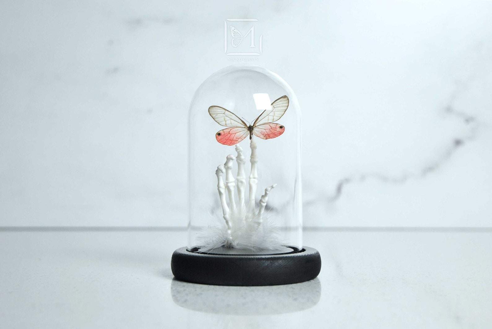 Image of Halloween Skeleton Hand & Butterfly Glass Cloche