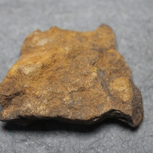 NWA North West Africa Meteorite Common Chondrite From Tindouf, Algeria 15.4g With COA