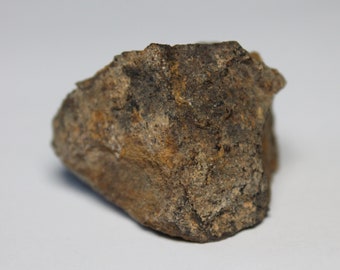 NWA North West Africa Meteorite Common Chondrite From Tindouf, Algeria 25.74g With COA