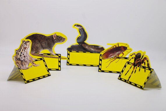 Fear Factor inspired Food Labels - Fear Factor inspired Place Cards - Scary party Food Tents - Halloween Decor. Printable, Instant Download Il_570xn