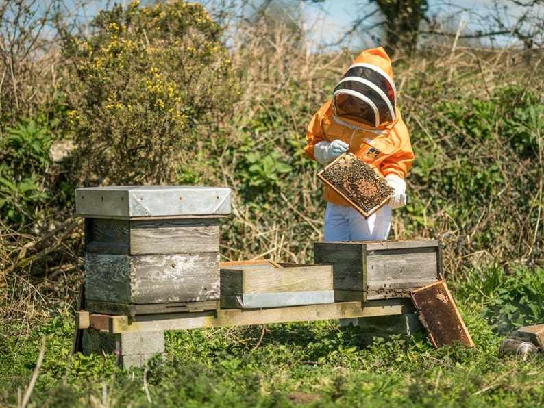 20/% OFF SUN Apiarist\u2122 Suits /& Honey Rustler\u2122 Jackets Summer Solstice Sale