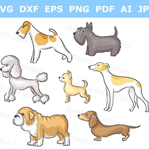 Breeds dogs cartoon clipart set. Isolated illustration. Cartoon dogs clipart. Digital download. Dog stickers