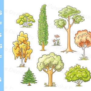 Reihe von Cartoon Bäume Clipart isolaed Bilder digitaler Download Vektor-Illustration Tanne Kiefer Eiche Herbst Baum
