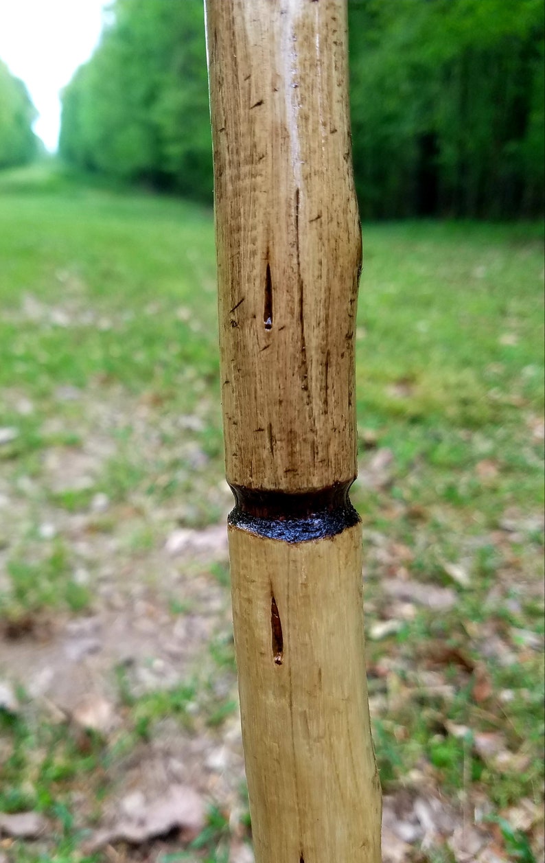Arkansas Crepe Myrtle Walking Stick 12 | Etsy