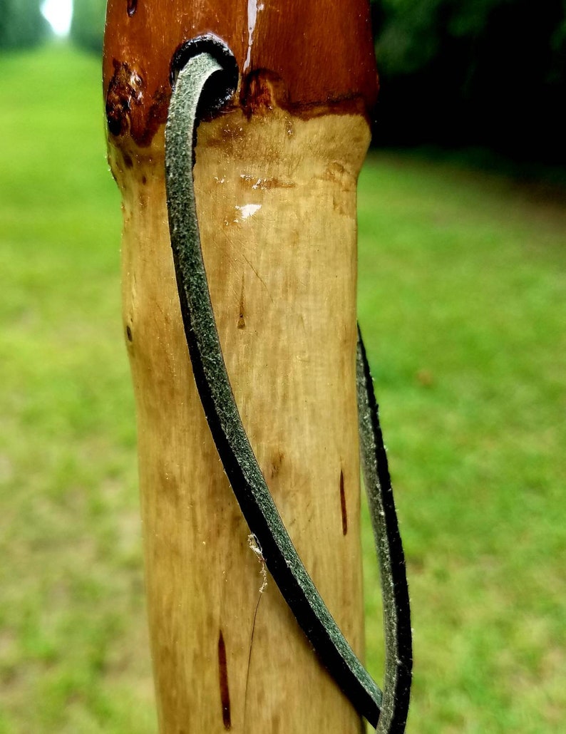 Arkansas Crepe Myrtle Walking Stick 51 | Etsy