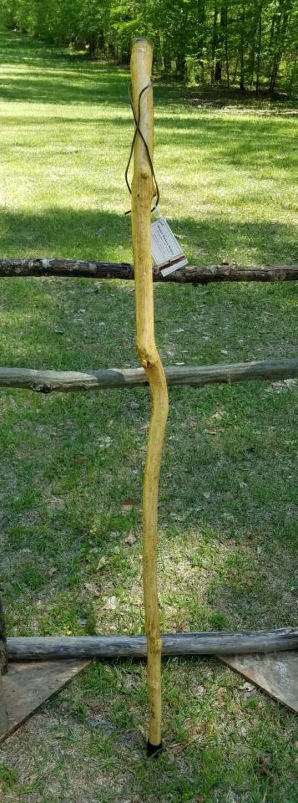 Holly Walking Stick 27 Etsy