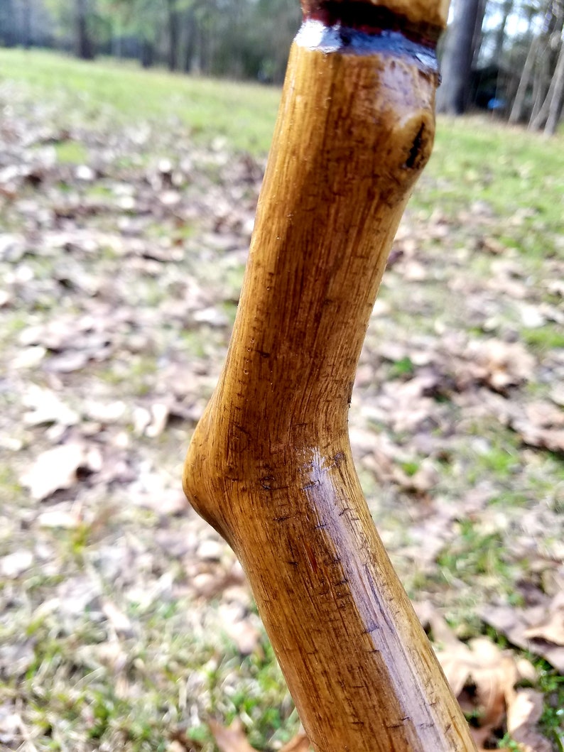 Hickory Walking Stick 39 Etsy