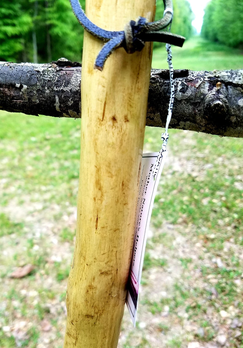 Arkansas Crepe Myrtle Walking Stick 7 | Etsy