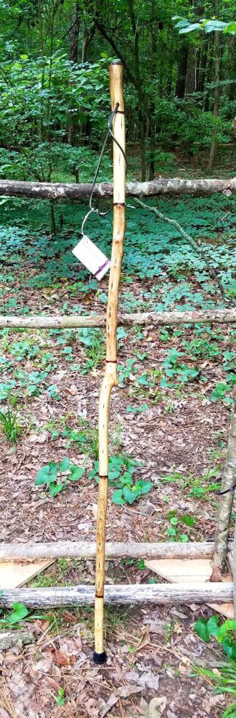 Arkansas Crepe Myrtle Walking Stick 31 | Etsy
