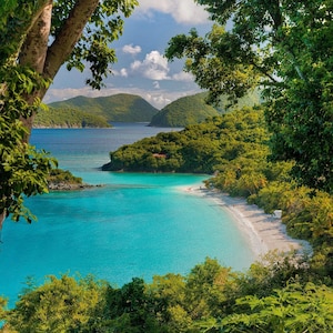 Spiaggia di Trunk Bay, St. John Wall Art – Stampa di spiagge delle Isole Vergini americane, Decorazione costiera caraibica, Fotografia di paesaggi oceanici con palme.