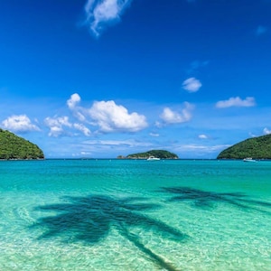 May include: A panoramic view of a tropical beach with clear turquoise water under a bright blue sky. Lush green hills frame the water, with palm tree shadows in the foreground. White clouds dot the sky.