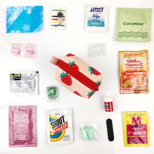 Strawberry Teeniemergency Kit | Mini Emergency Kit