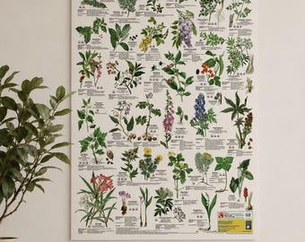Highlights of the Jazz Story in USA Poster - Jazz Family Tree 68
