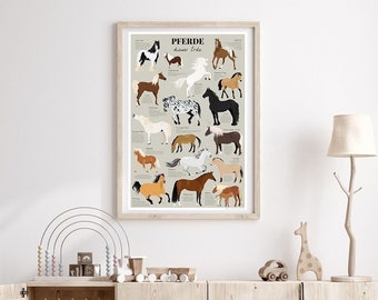 Kinder Lernposter Die bekanntesten Pferderassen - 61 x 91,5 cm - Kinderzimmer Pferde Premium Poster Plakat - Pferde dieser Erde!