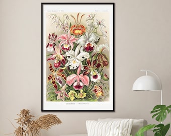 Venus Flowers (Orchideae) Poster Ernst Haeckel - Art Forms of Nature - Panel 74 (61 cm x 91.5 cm)