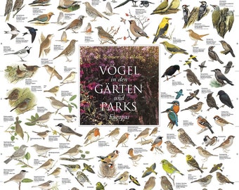 Affiche Oiseaux des Jardins et Parcs d'Europe plastifiée Korck, Planet Poster Editions Poster 60 x 90 cm