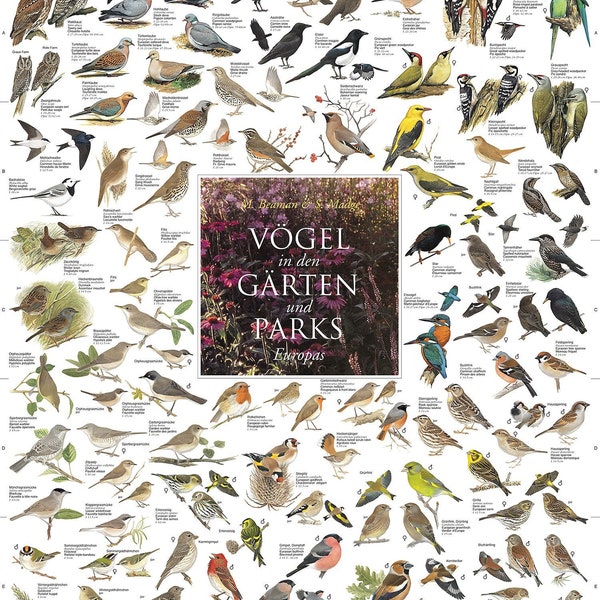 Vögel aus den Gärten und Parks Europas Poster laminiert Korck, Planet Poster Editions Plakat 60 x 90 cm