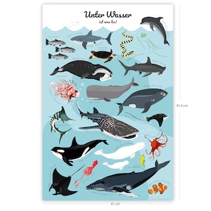 Lernposter Kinder Unterwassertiere - 61 x 91,5 cm - Kinderzimmer Meerestiere Premium Plakat - Unter Wasser ist was los!