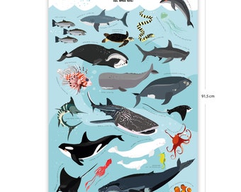 Affiche d'Apprentissage Enfants Animaux Sous-Marins - 61 x 91,5 cm - Affiche Premium Animaux Marins Chambre d'Enfant - Il se passe quelque chose sous l'eau !