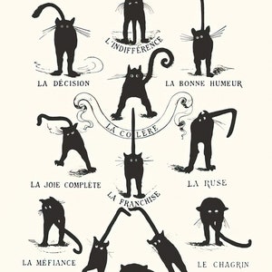 Poster Le Chat domestic et son Caractère in piccolo formato - 27,9 x altezza 35,6 cm - poster vintage con gatti
