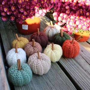 May include: A collection of ten small, round, crocheted pumpkins in various colors including white, yellow, orange, green, brown, and beige. Each pumpkin features a vertical ribbed texture and a single brown cinnamon stick stem at the center.